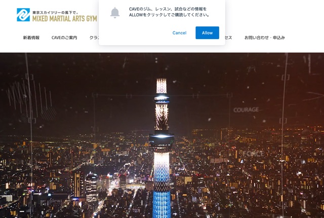 総合格闘技道場CAVEの公式サイト