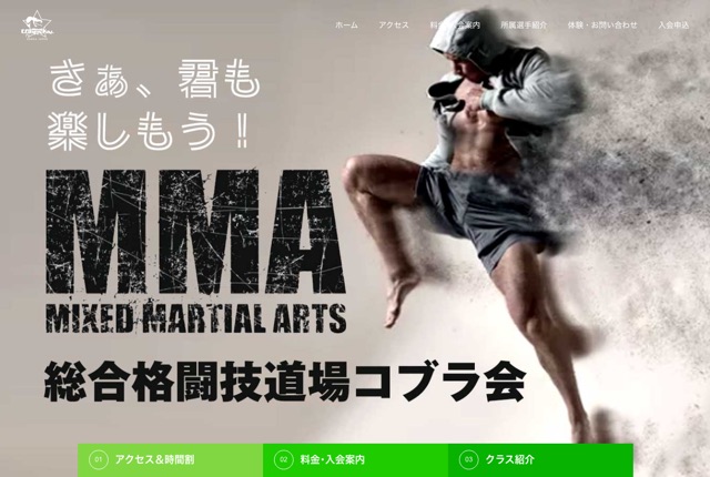 総合格闘技道場コブラ会の公式サイト